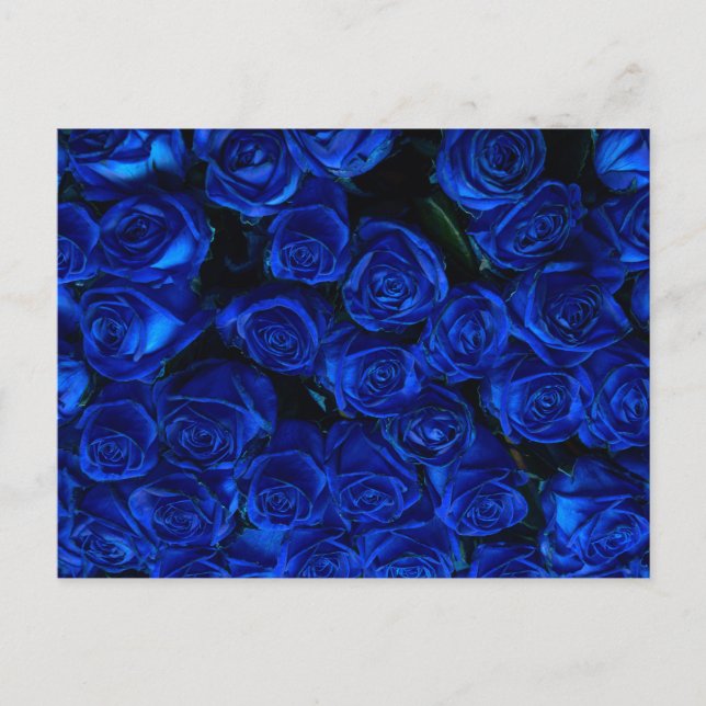 Postal Rosas azules (Anverso)