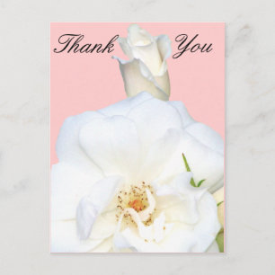 Postal Rosas blancas_