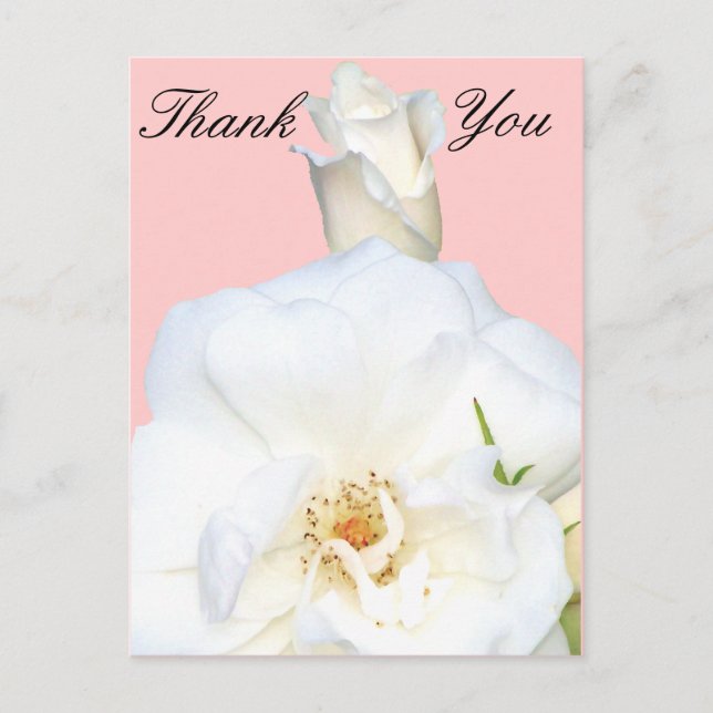 Postal Rosas blancas_ (Anverso)