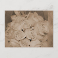 Rosas blancas en Sepia