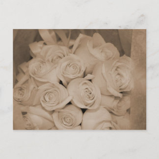 Postal Rosas blancas en Sepia