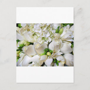 Postal Rosas blancas, Feliz_