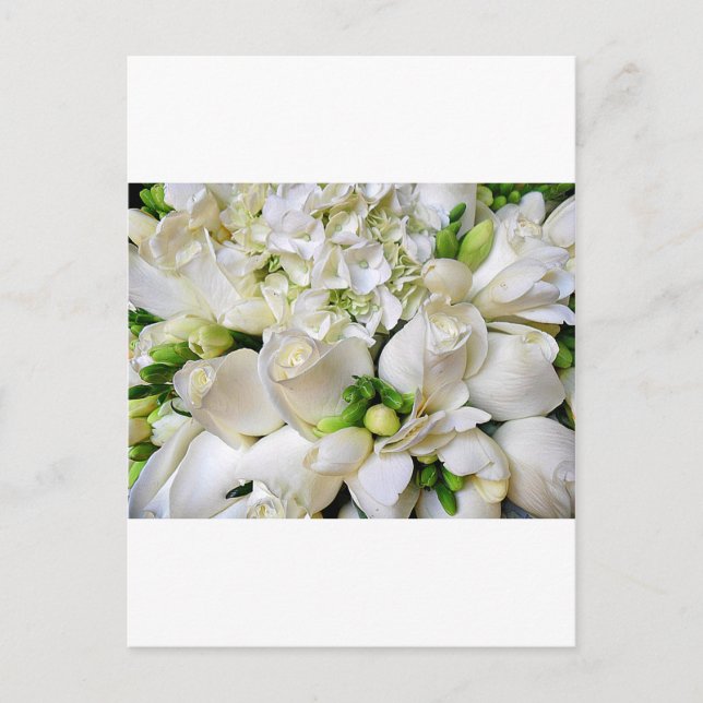 Postal Rosas blancas, Feliz_ (Anverso)