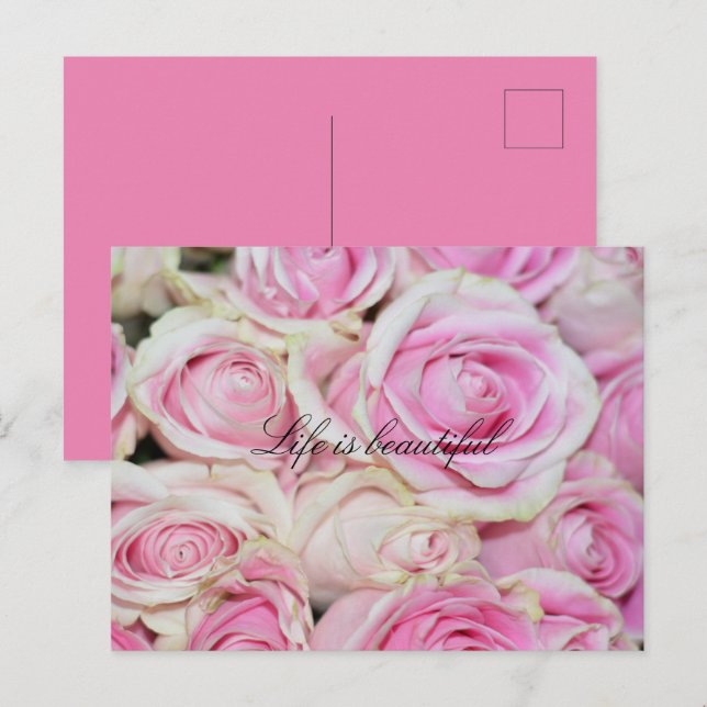 Postal Rosas blancas rosadas románticas bonitos (Anverso / Reverso)