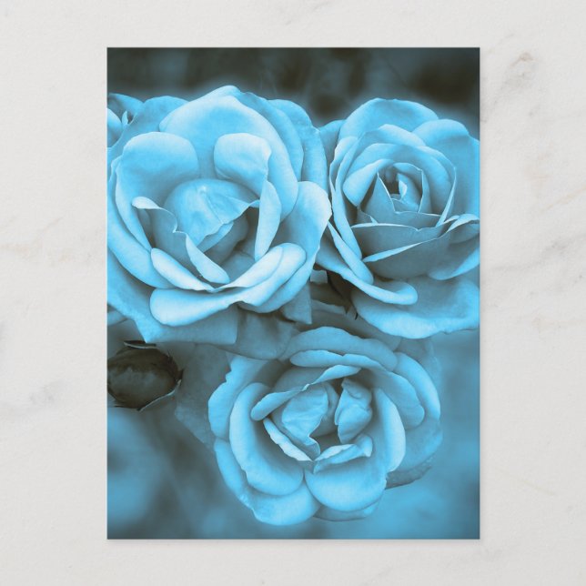 Postal Rosas Blue Vintage (Anverso)