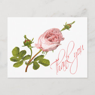 Postal Rosas Bodas de flores rosadas florales de época