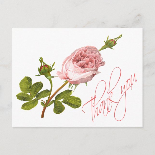 Postal Rosas Bodas de flores rosadas florales de época (Anverso)