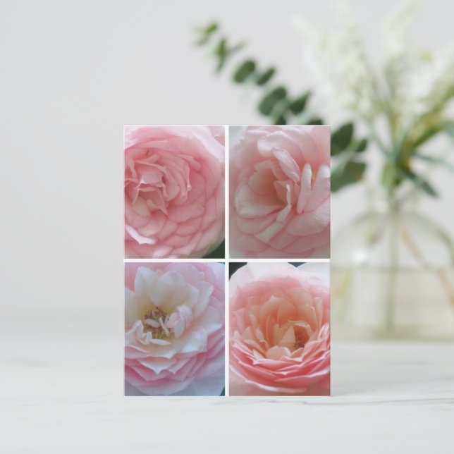 Postal Rosas bonitos (Anverso de pie)