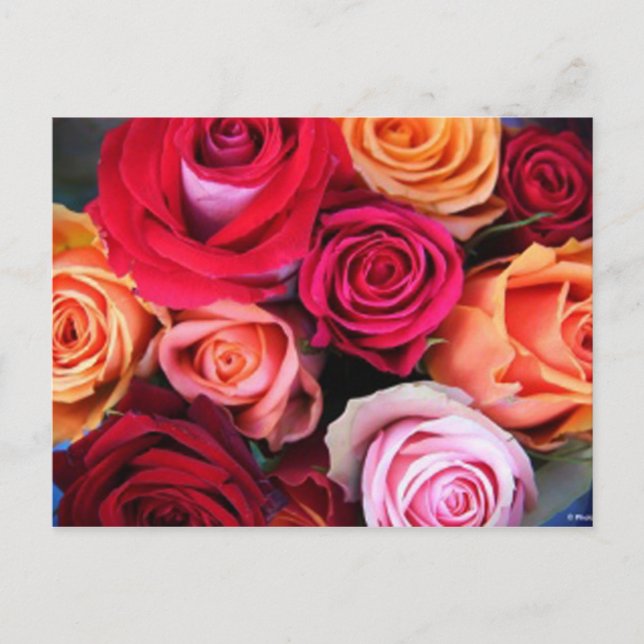 Postal Rosas Bouquet Postcard (Anverso)