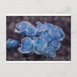 Postal Rosas brillantes azules en un fondo oscuro