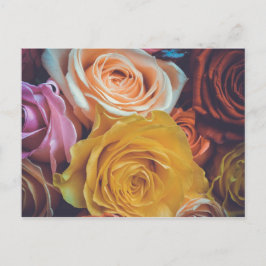 Postal Rosas coloridos