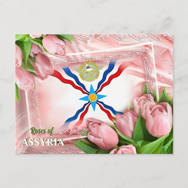 Postal Rosas de ASSYRIA Postcard (Anverso)