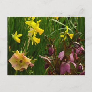 Postal Rosas de Daffodils y Cuaresma con flores de colore