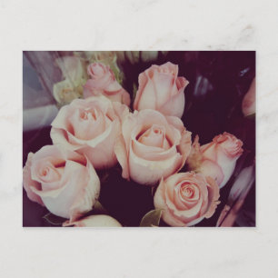 Postal Rosas de época IV