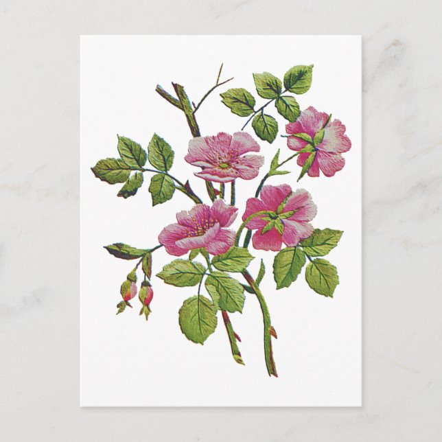 Postal Rosas de inglés antiguo rosado con bordado (Anverso)