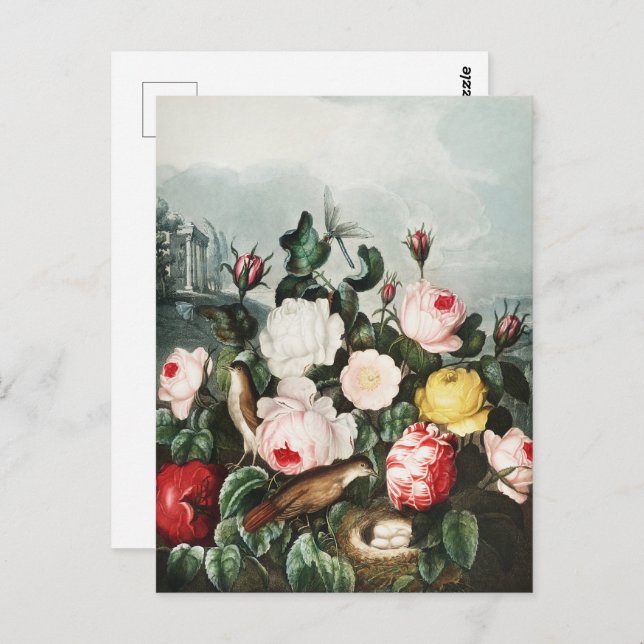 Postal Rosas de John Thornton del Templo de la Flora (Anverso / Reverso)