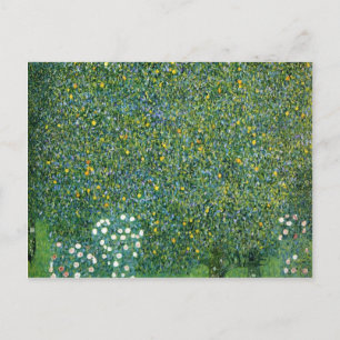 Postal Rosas de la Cuta de los Árboles