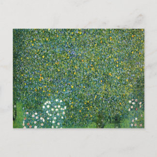 Postal Rosas de la Cuta de los Árboles