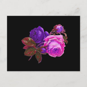 Postal Rosas de neón rosado - Regalos
