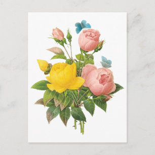 Postal Rosas de té rosa amarillo persa de Redoute