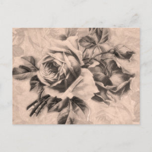 Postal Rosas de Vintage Sepia