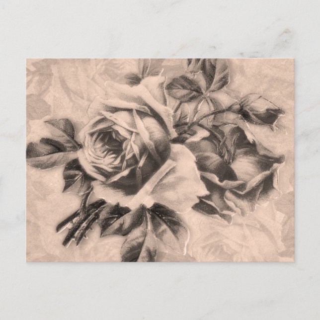 Postal Rosas de Vintage Sepia (Anverso)