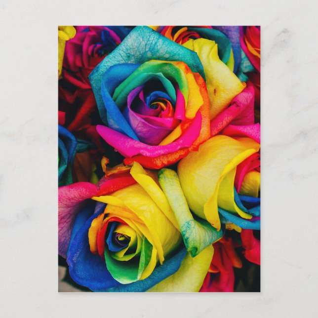 Postal Rosas del arcoiris (Anverso)