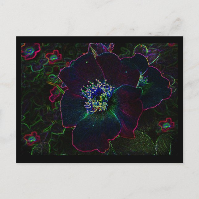 Postal Rosas eléctricos (Anverso)