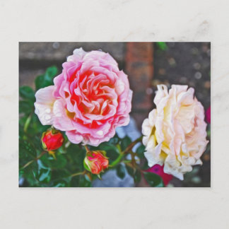 Postal Rosas en la lluvia