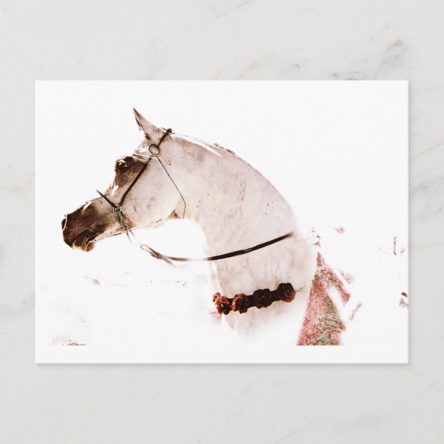 Postal Rosas en un gris (Anverso)