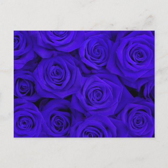 Postal Rosas espectaculares azules (Anverso)