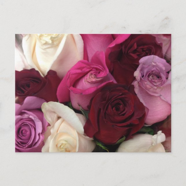 Postal Rosas Floral (Anverso)