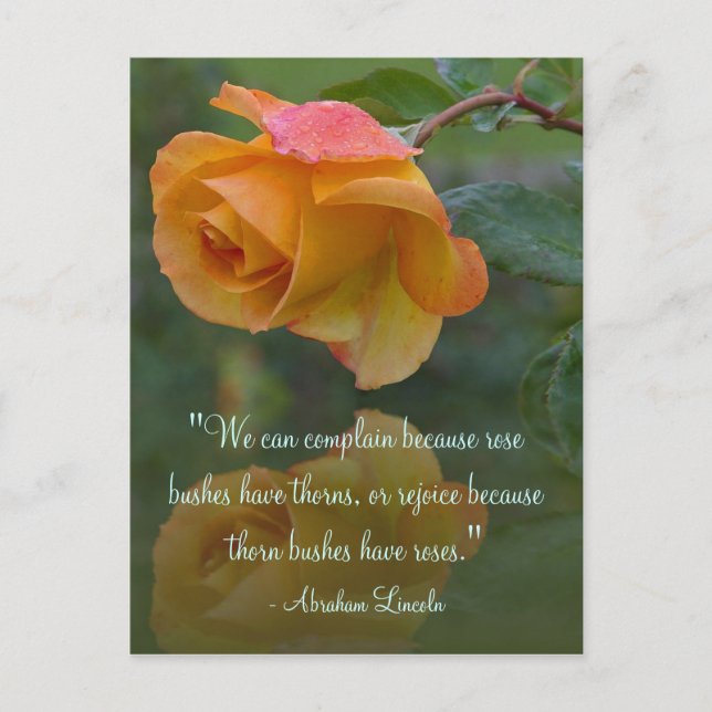 Postal Rosas Motivational Lincoln Cita Postcard (Anverso)
