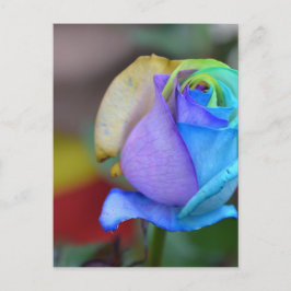 Postal Rosas Naturaleza paisajes enhorabuena sonrisa