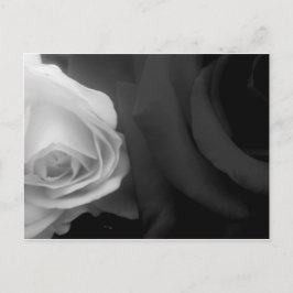 Postal Rosas negras y blancas