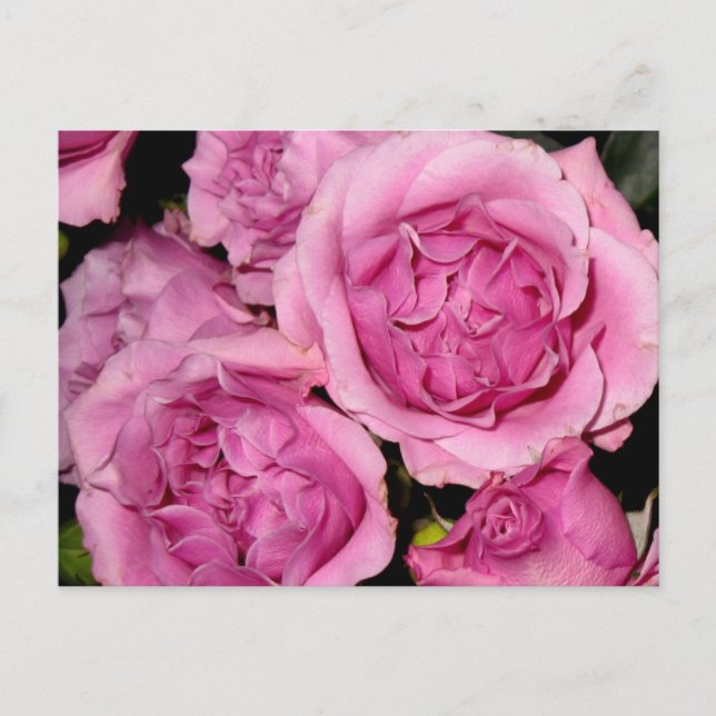 Postal Rosas para la madre (Anverso)