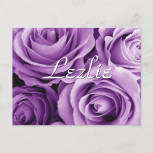 Postal Rosas púrpura artículo de regalo para su V2