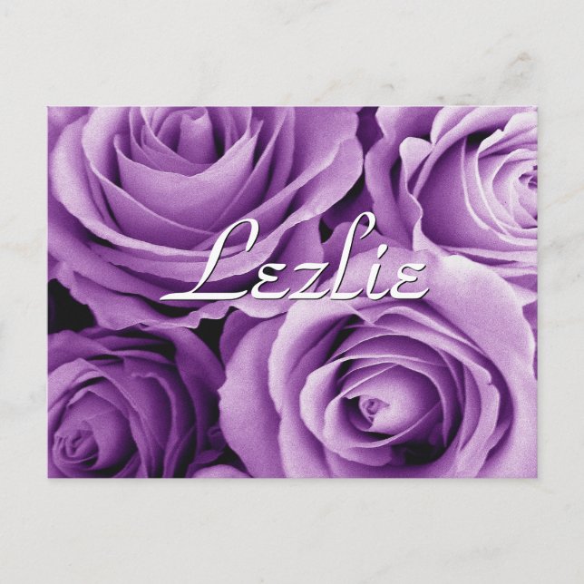 Postal Rosas púrpura artículo de regalo para su V2 (Anverso)