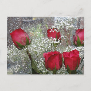 Postal Rosas rojas