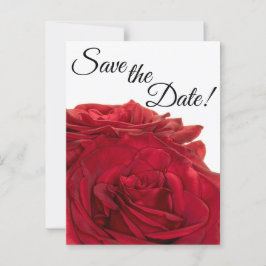 Postal Rosas Rojas 1824