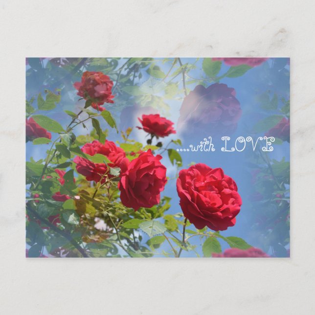 Postal Rosas rojas para ti ... (Anverso)