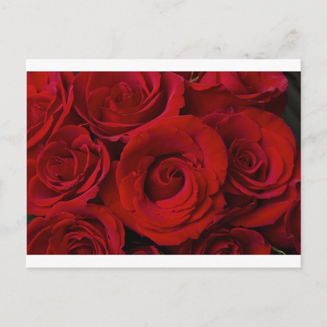Postal Rosas rojas y gotas de agua (Anverso)