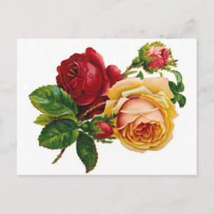 Postal Rosas rojos y amarillos