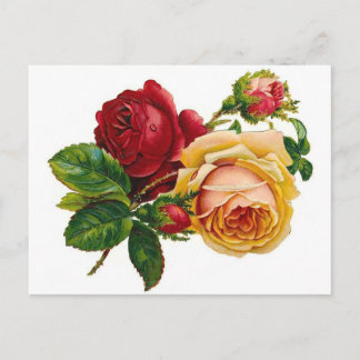 Postal Rosas rojos y amarillos