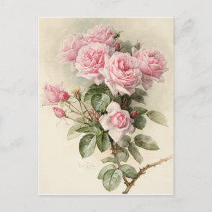Postal Rosas románticos de Victoria