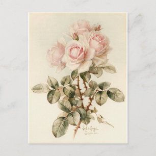 Postal Rosas románticos de Victoria