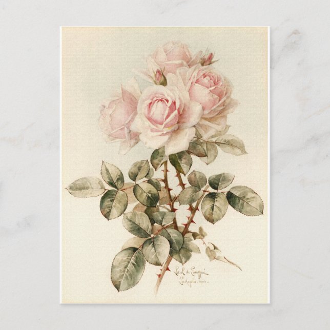 Postal Rosas románticos de Victoria (Anverso)