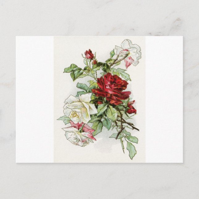 Postal Rosas rosa victoriano vintage (Anverso)