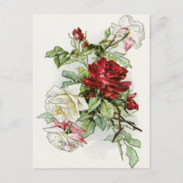 Postal Rosas rosa victoriano vintage