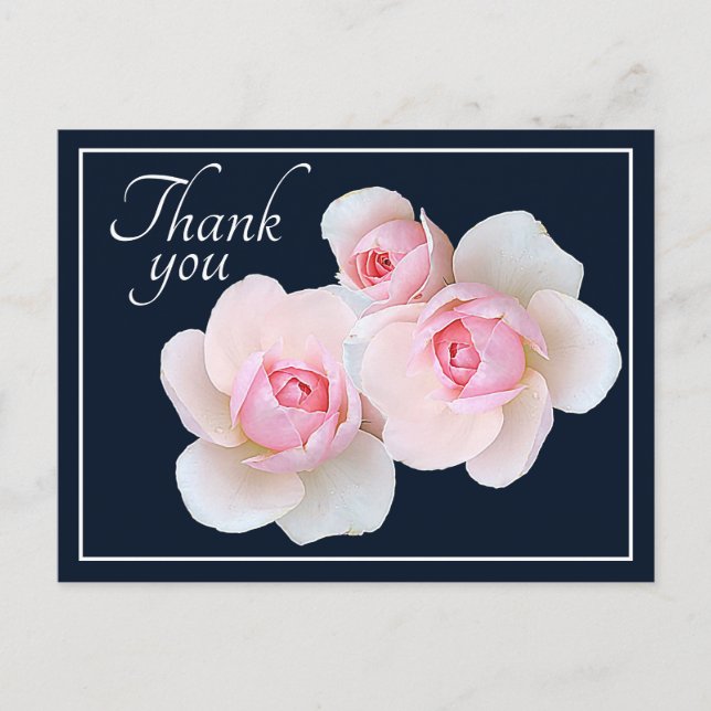 Postal Rosas rosadas Fondo azul marino Gracias (Anverso)